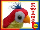 interaktywna PAPUGA mówi POWTARZA ptak KOLORY